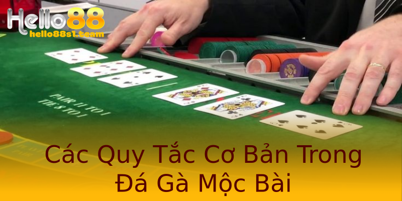 Các Quy Tắc Cơ Bản Trong Đá Gà Mộc Bài Các Quy Tắc Cơ Bản Trong Đá Gà Mộc Bài
