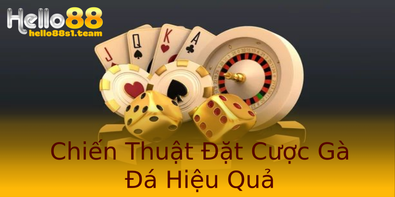 Chiến Thuật Đặt Cược Gà Đá Hiệu Quả Chiến Thuật Đặt Cược Gà Đá Hiệu Quả