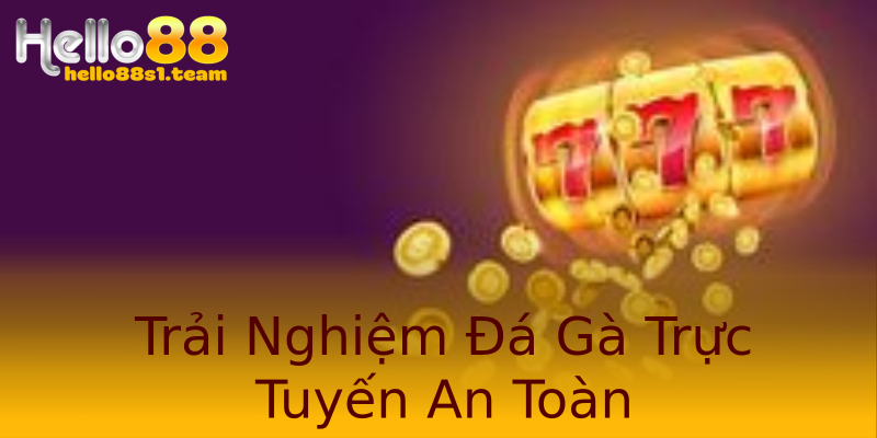 Trải Nghiệm Đá Gà Trực Tuyến An Toàn Trải Nghiệm Đá Gà Trực Tuyến An Toàn