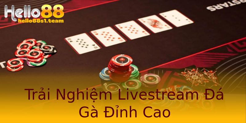Trải Nghiệm Livestream Đá Gà Đỉnh Cao Trải Nghiệm Livestream Đá Gà Đỉnh Cao